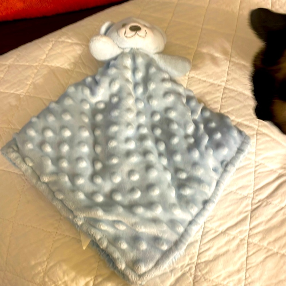 **FREE**with any Bundle purchase -  Soft Teddy baby cuddle blanket